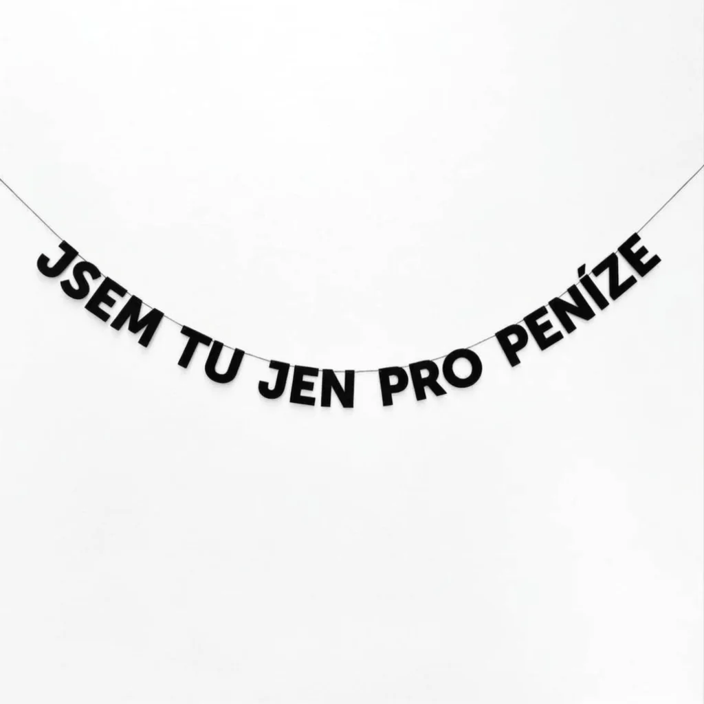 JSEM TU JEN PRO PENÍZE