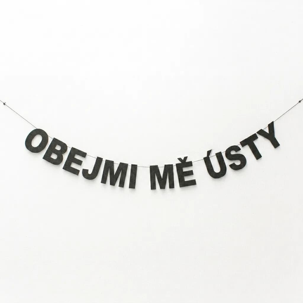 OBEJMI MĚ ÚSTY